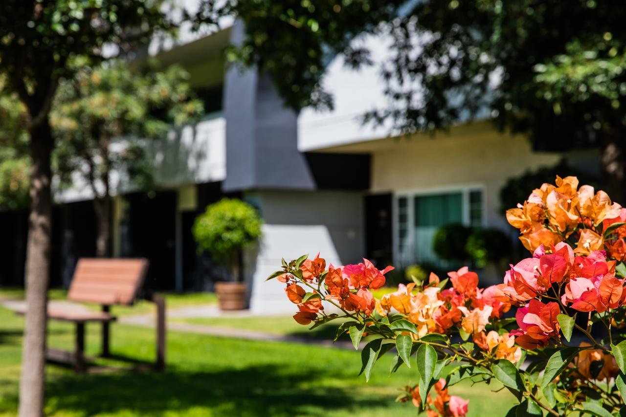 Fiesta Inn San Luis Potosi Glorieta Juarez Екстериор снимка